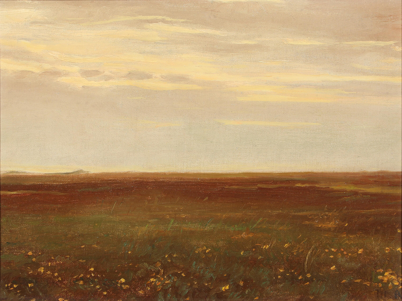 Landscape with wildflowers. - Michael Peter Ancher