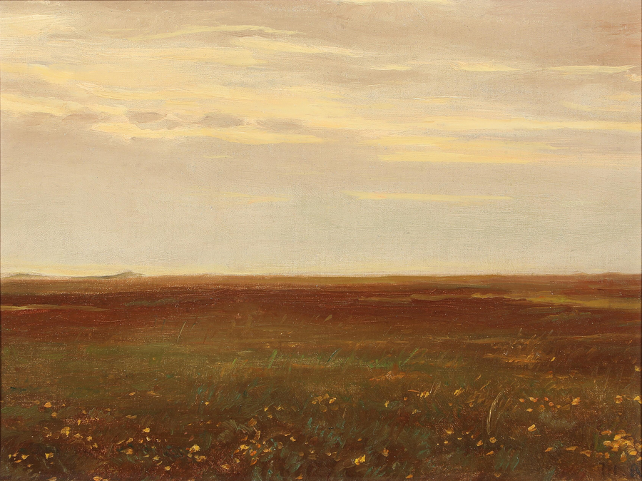 Landscape with wildflowers. - Michael Peter Ancher