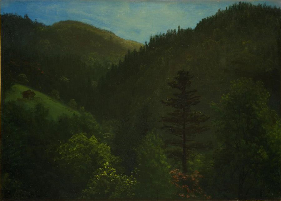 Forested landscape - Albert Bierstadt