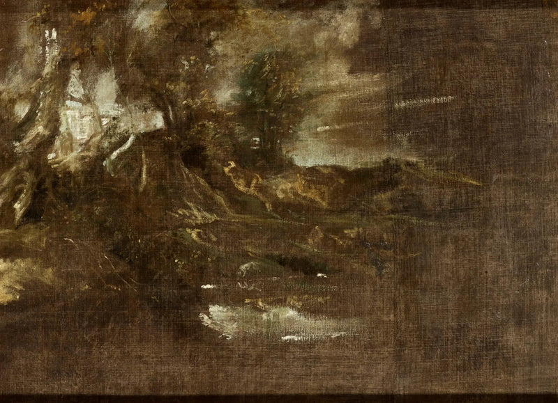 Forested landscape - Antoine van Dyck