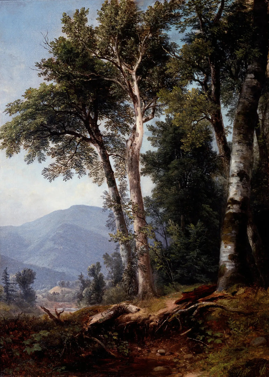 Forested Landscape - Asher Brown Durand