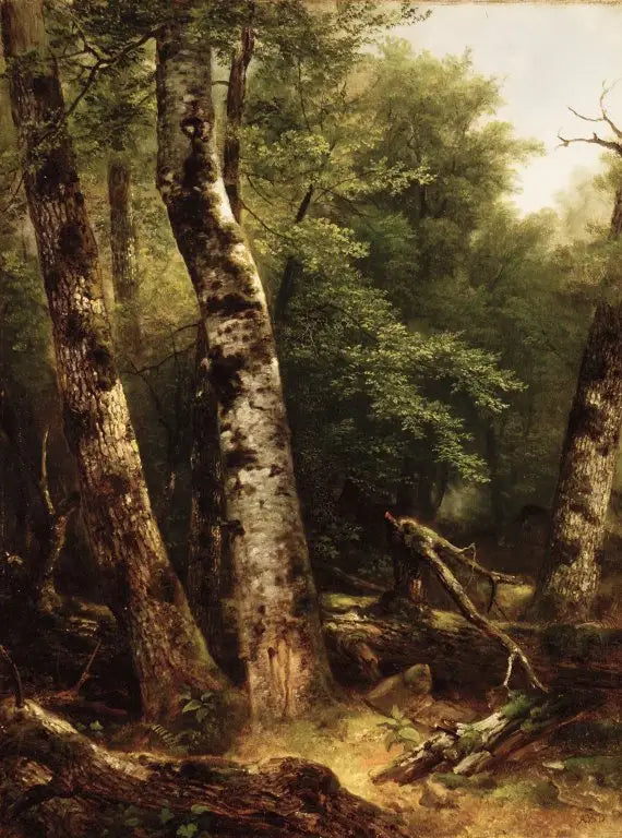 Landscape (birch and oak) - Asher Brown Durand