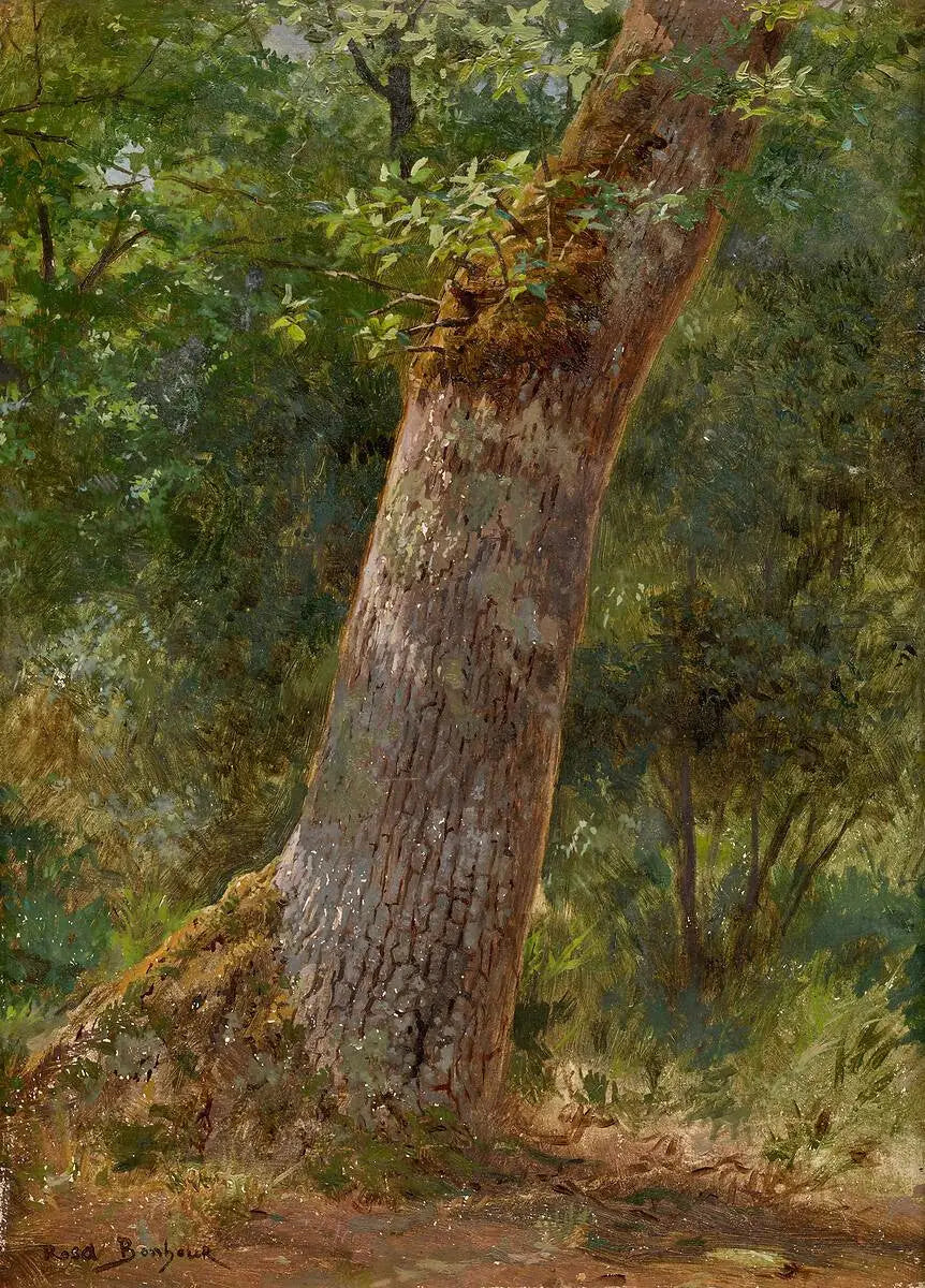 Paysage étude d’arbres - Rosa Bonheur - Alpha Reproduction