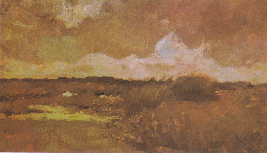 Swampy Landscape - Vincent van Gogh