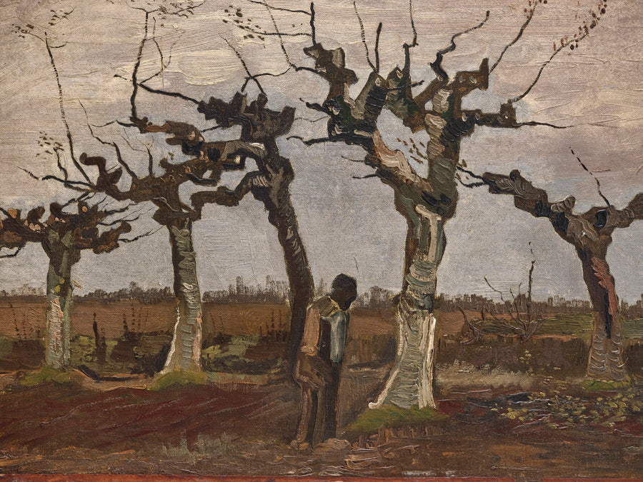 Landscape with Pollard Willows - Vincent van Gogh
