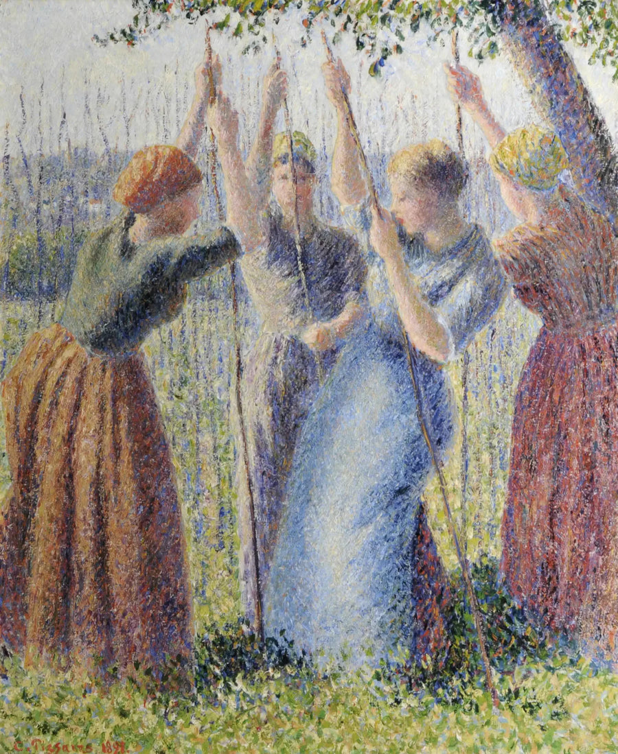Peasant Women Planting Potatoes - Camille Pissarro