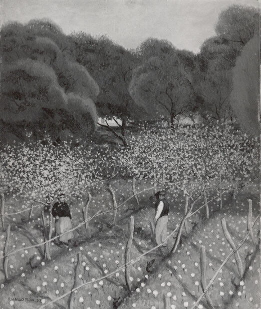 Flowering Peach Trees, Provence - Félix Vallotton