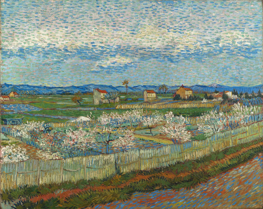 Peach Trees in Bloom - Vincent van Gogh