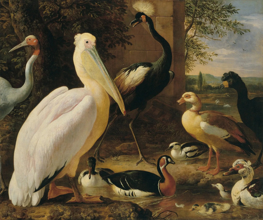 Pelican, crowned crane, hocco, antigone crane and ducks in a river landscape - Melchior de Hondecoeter