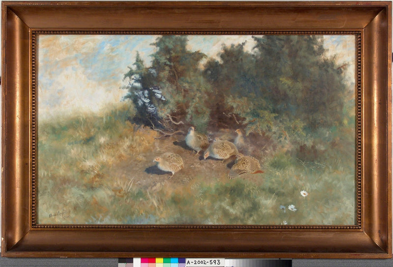 Partridge - Bruno Liljefors
