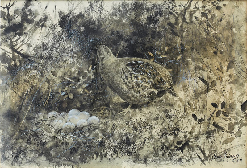 Gray partridge in the nest - Bruno Liljefors