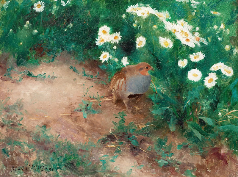 Grey partridge with daisies - Bruno Liljefors