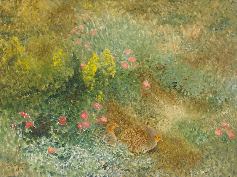 Gray partridge - Bruno Liljefors