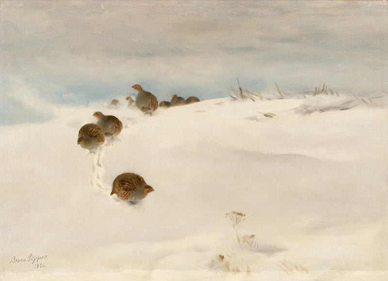 Grey partridges in a winter landscape - Bruno Liljefors