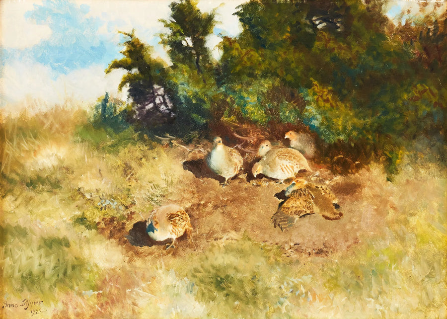 Grey partridges sunbathing - Bruno Liljefors