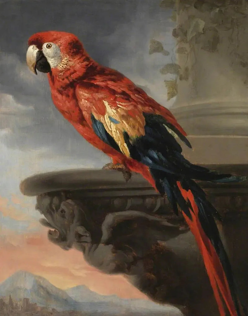 Parrot - Peter Paul Rubens