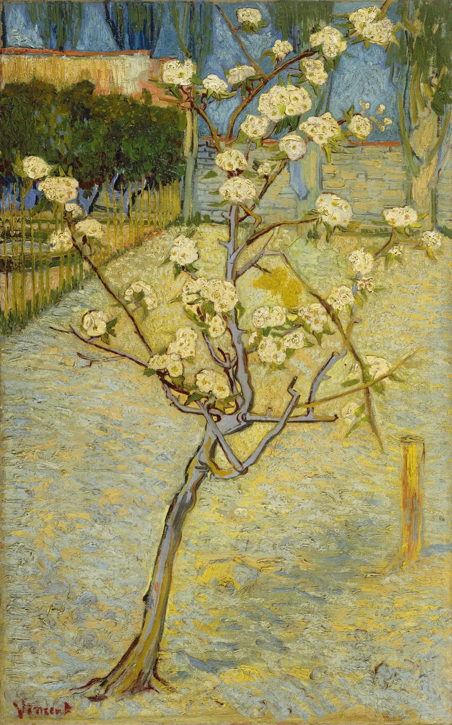Small Pear Tree in Bloom - Vincent van Gogh