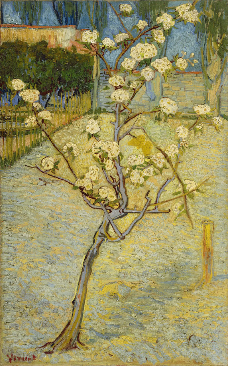 Small Pear Tree in Bloom - Vincent van Gogh