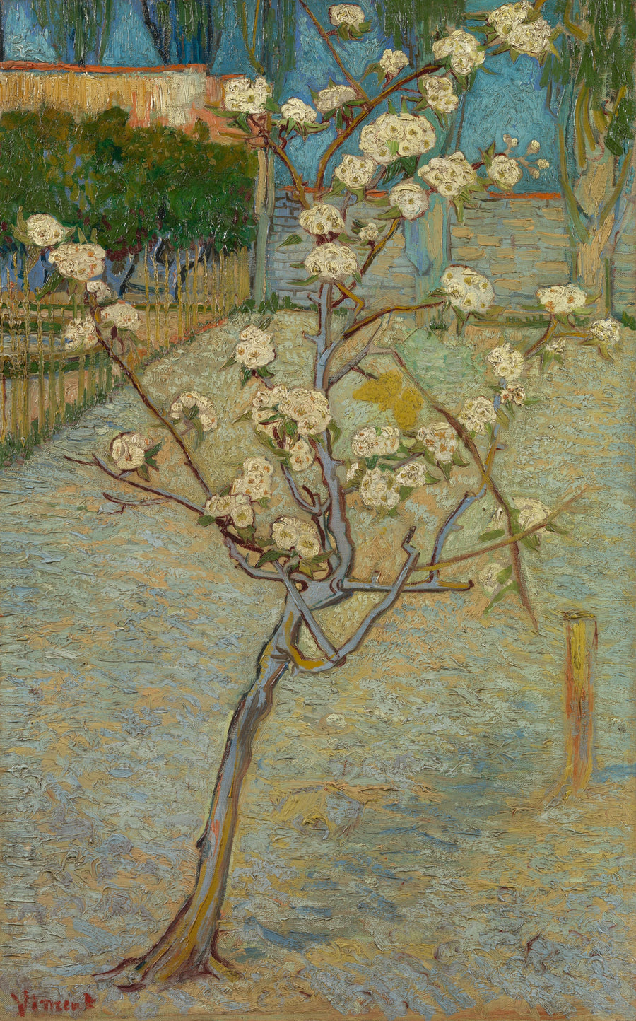 Small Pear Tree in Bloom - Vincent van Gogh