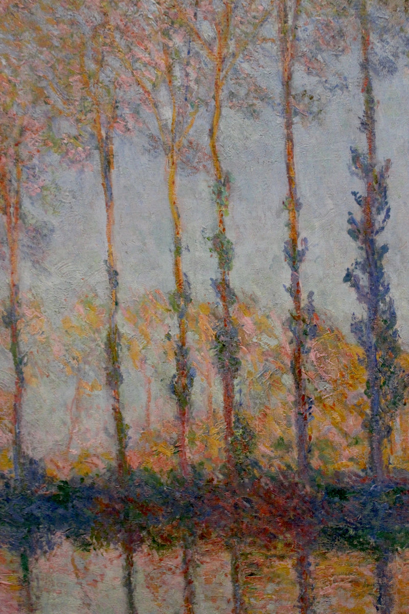 The octopuses on the bank of the Epte - Claude Monet