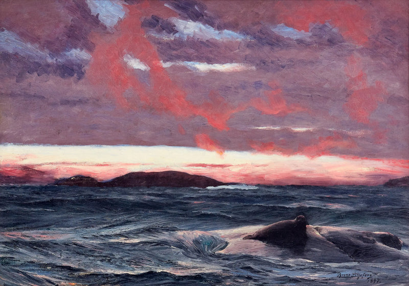Seal on an islet at sunset - Bruno Liljefors