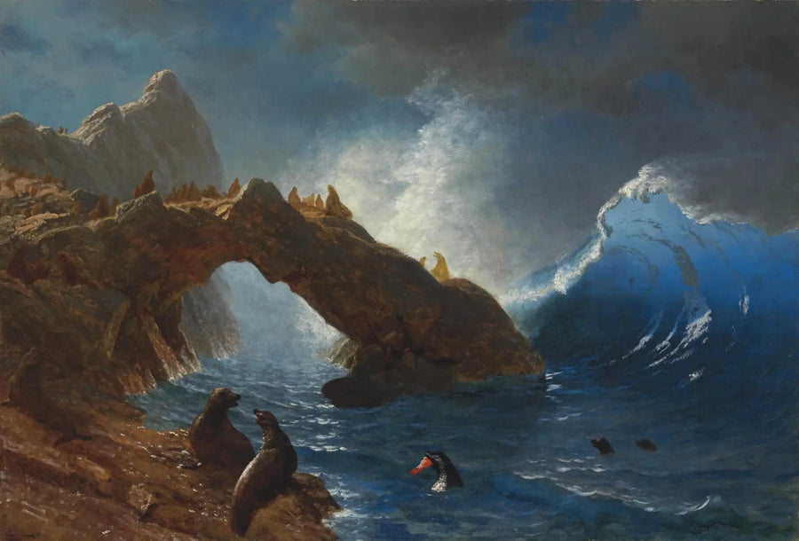 Seals on the rocks - Albert Bierstadt