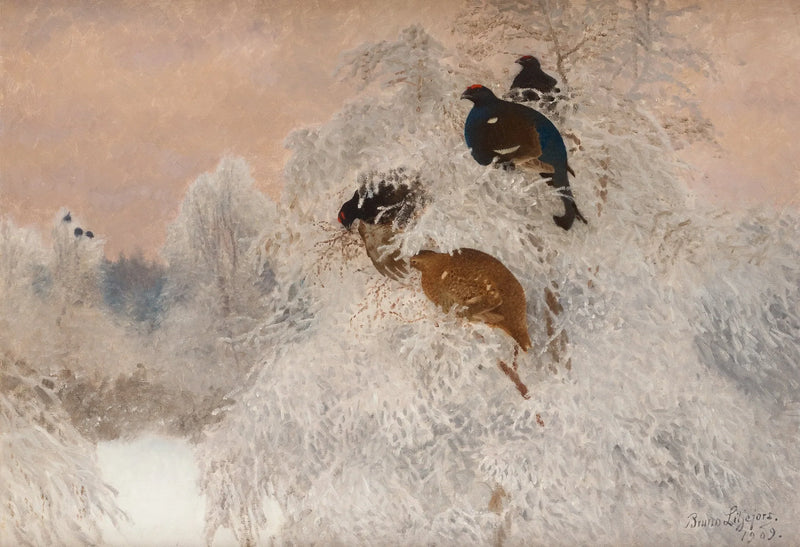 Winter photo with black grouse - Bruno Liljefors