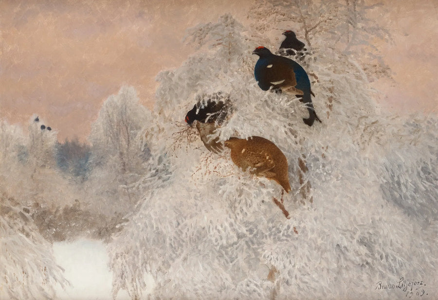 Winter photo with black grouse - Bruno Liljefors