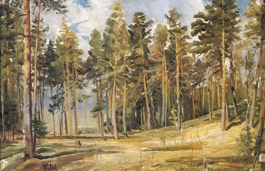 Pins. Sunny Day - Ivan Chichkine