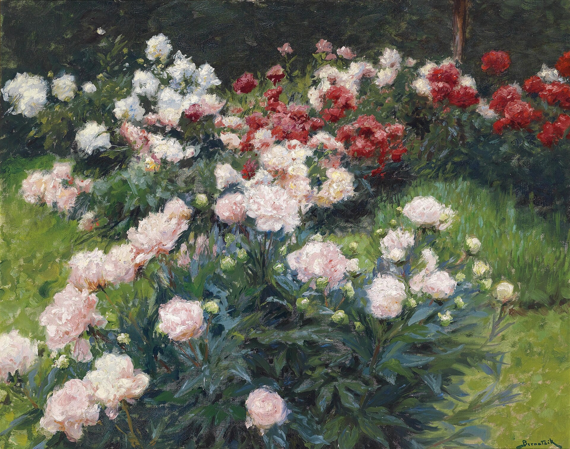 Pivoines par Wilhelm Bernatzik, peinture de pivoines