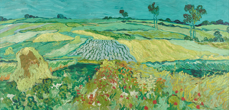 The Plain of Auvers - Vincent van Gogh