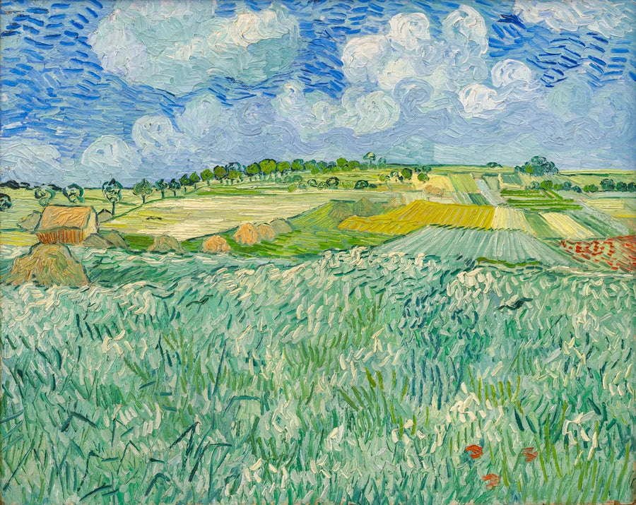 Plain near Auvers - Vincent van Gogh
