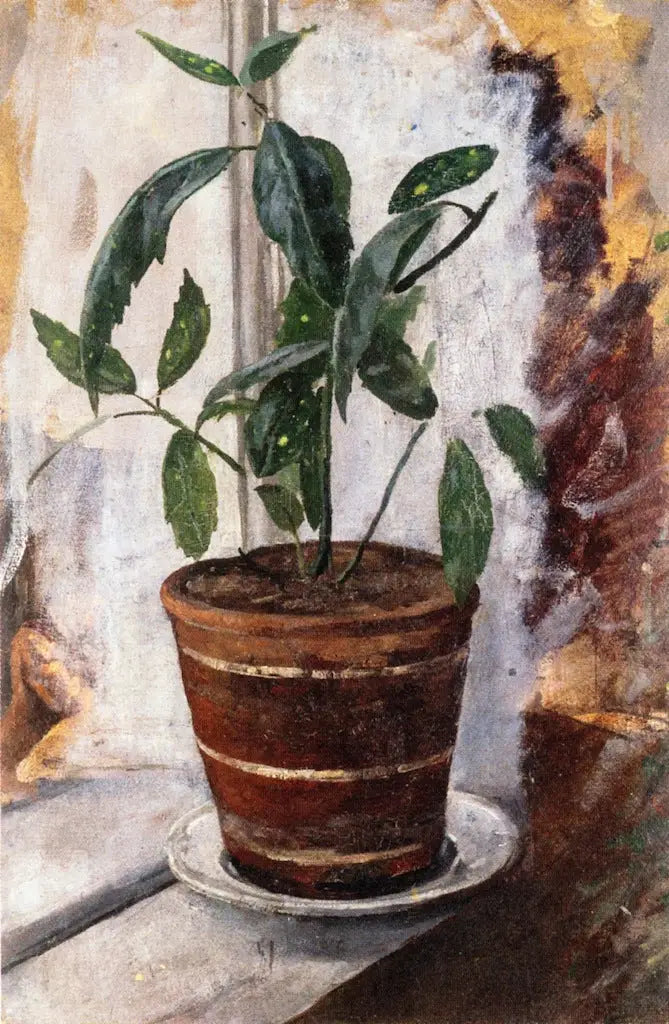 Potted Plant on the Windowsill - Edvard Munch