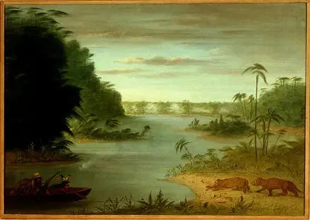Palmiers Bridge and Tiger Shooting - George Catlin