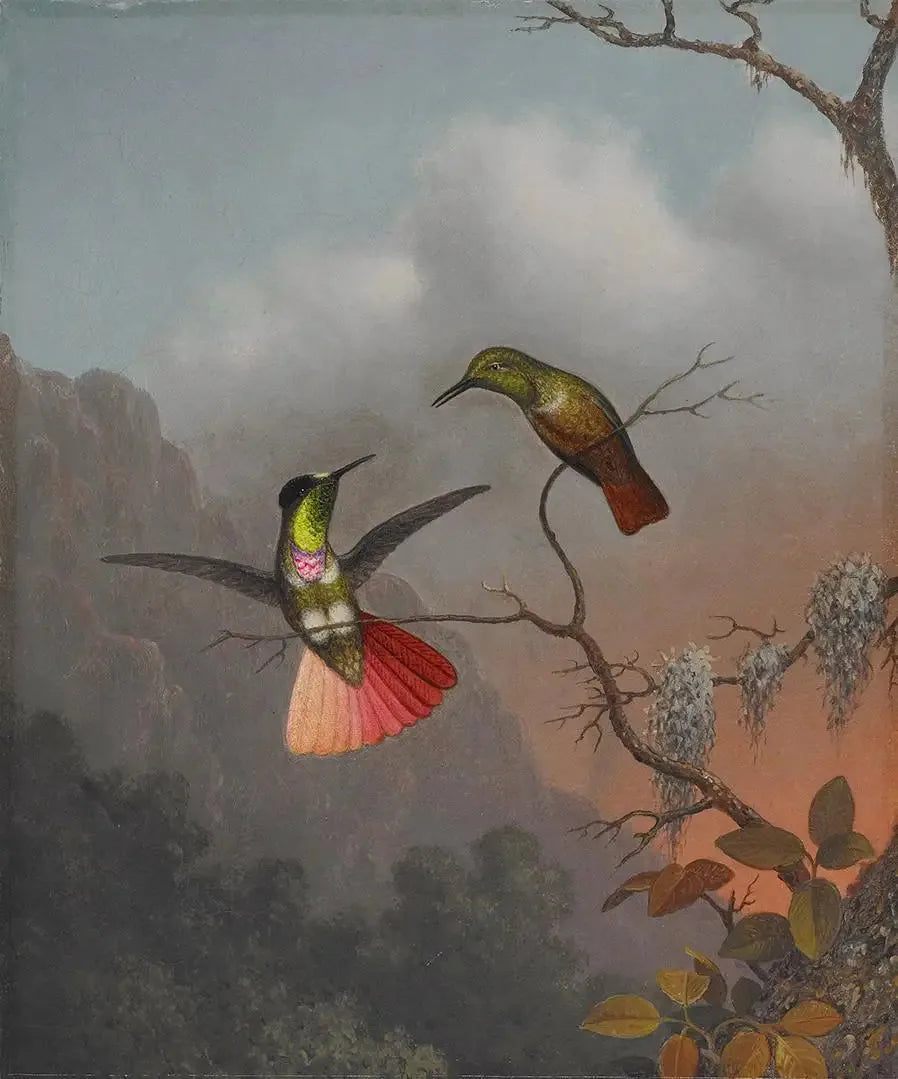 Hooded Visor Carrier - Martin Johnson Heade