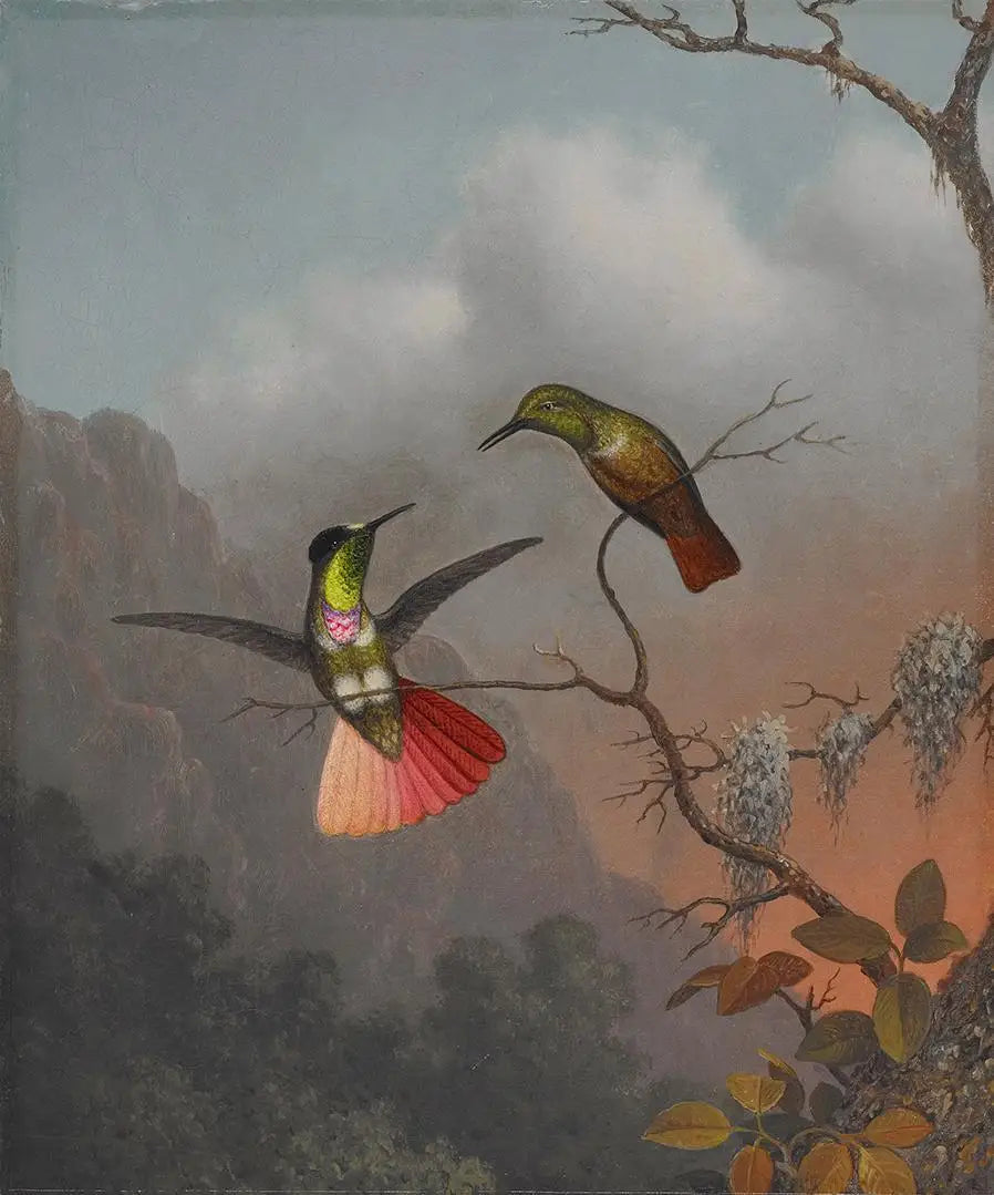Porteur de visière à capuche - Martin Johnson Heade - Alpha Reproduction