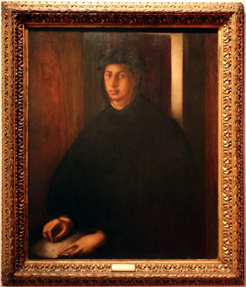 Portrait of Alexandre de Médicis - Pontormo