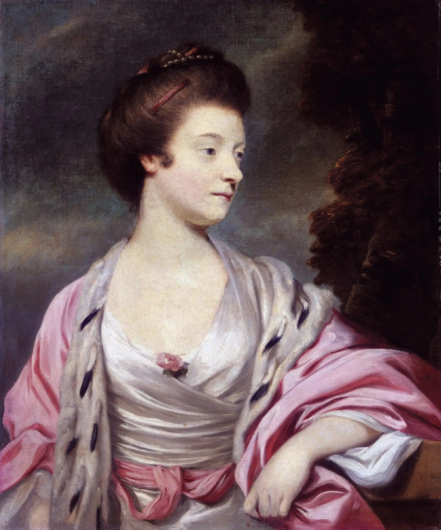 Portrait of Elizabeth, Lady Amherst (1740-1830) (née Elizabeth Cary) - Joshua Reynolds