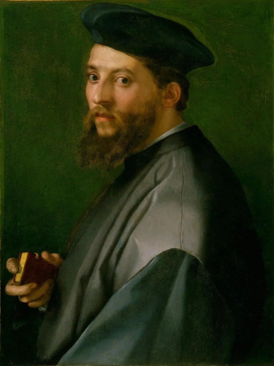 Portrait of a Man - Andrea del Sarto