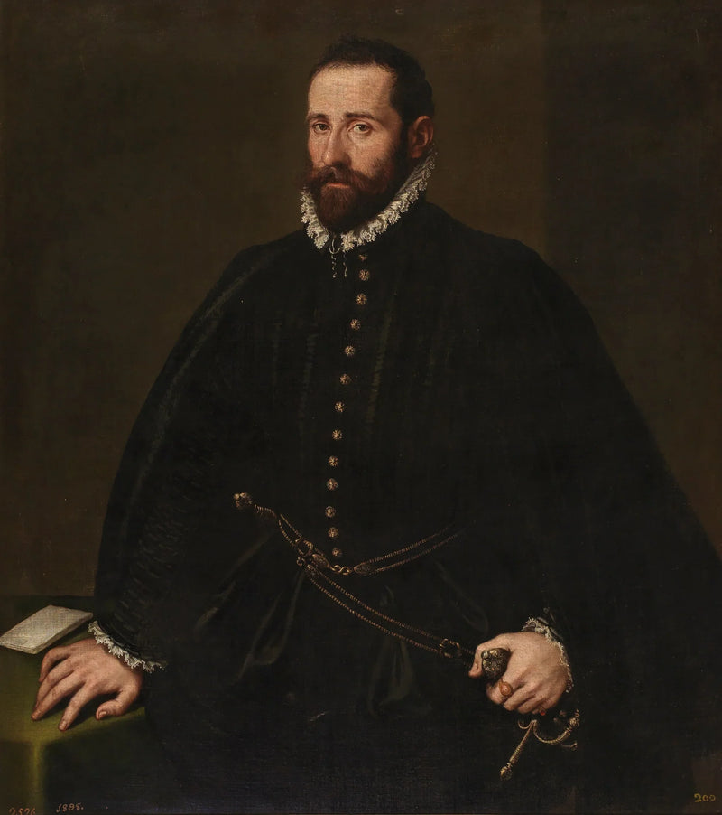 Portrait of a Gentleman - Jacopo Tintoretto