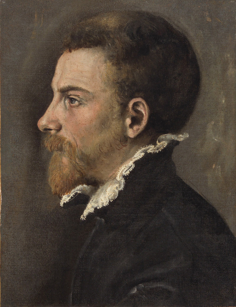 Portrait of a bearded man in profile - Annibale Carracci