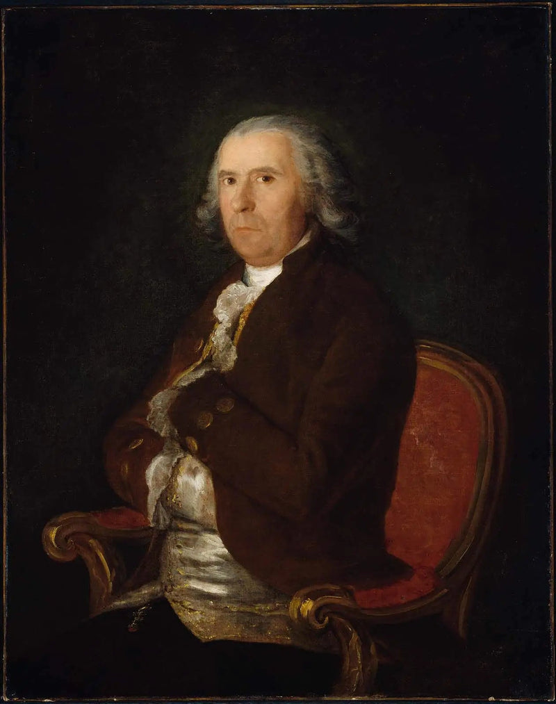Portrait of a man in a brown coat - Francisco de Goya