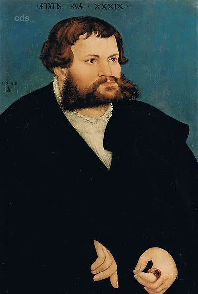 Portrait of a Man - Lucas Cranach the Elder