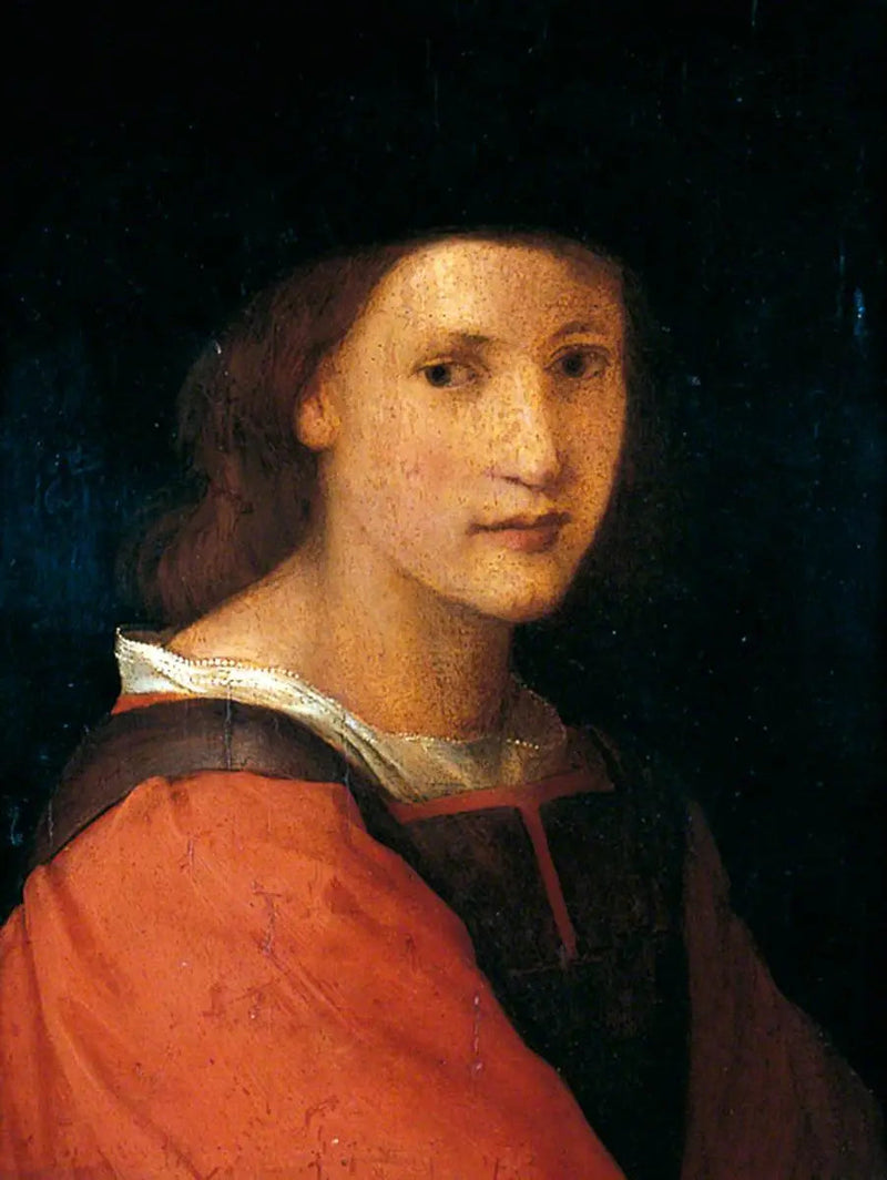 Portrait of a Young Man - Andrea del Sarto