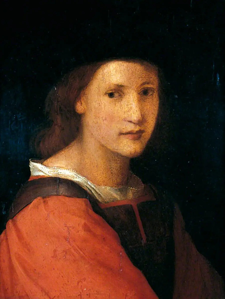 Portrait of a Young Man - Andrea del Sarto