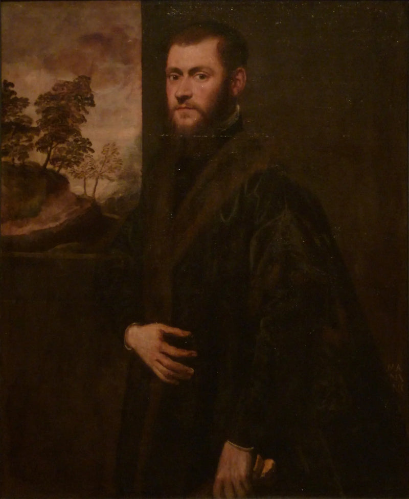 Portrait of a Young Gentleman - Jacopo Tintoretto