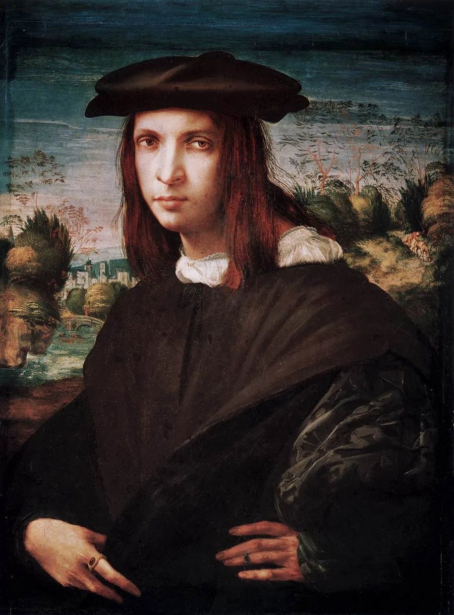 Portrait of a Young Man - Rosso Fiorentino