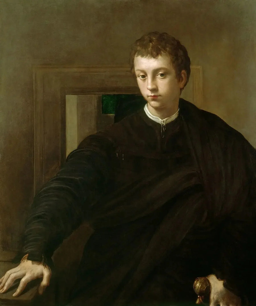 Portrait of a Young Noble - Parmigianino