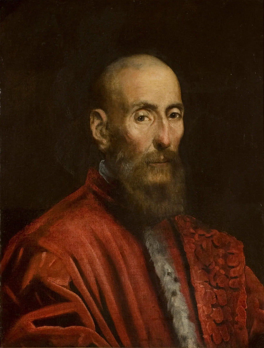Portrait of a senator - Jacopo Tintoretto