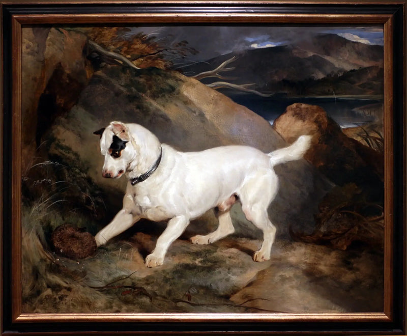 Portrait of a terrier, property of Owen Williams, ESQ., Member of Parliament (Jocko with a hedgehog) - Edwin Henry Landseer